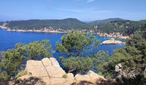 Calanque de Port d'Alon et instant baignade - Saint-Cyr-sur-Mer - 14