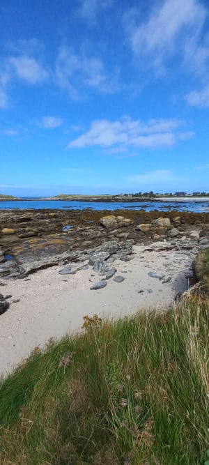 Un petit bout de côte vers Portsall - Portsall - 14