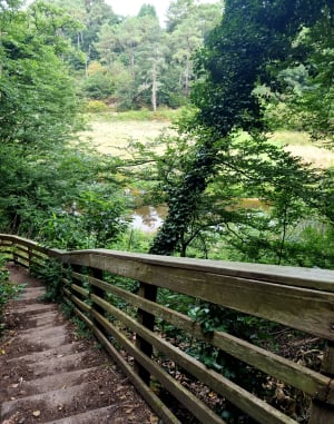 Promenade dominicale du Pont du Sal - Plougoumelen - 8