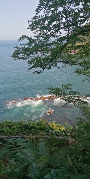 Pasaia - Donostia - Pasajes - 3
