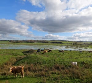 Balade à vélo Wimereux et ses Dunes de la Slack - Wimereux - 15