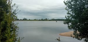 Les bords de Loire à Saint-Rémy-la-Varenne - Brissac-Loire-Aubance - 6