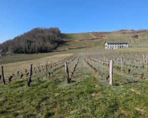 Billième et randonnée exquise en passant par Jongieux - Billième - 4