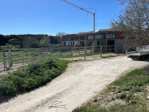 Les girafes par l'étangs de Bages - Peyriac-de-Mer - 12
