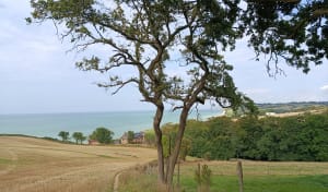 De Varengeville à Pourville, entre Valleuses et Estran à marée basse - Varengeville-sur-Mer - 11