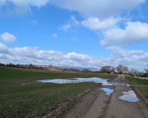 Entre routes et chemins à la découverte de 3 villages. - Gœrsdorf - 5