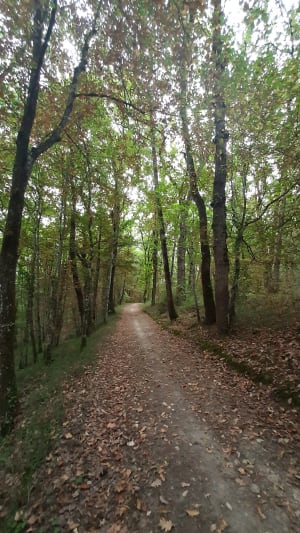 La Croix-Blanche, la balade du Bernou - Guillaume - 3