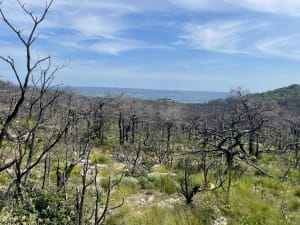 Le cirque de l'Infernet par la boucle des Fenestrettes - Saint-Guilhem-le-Désert - 39