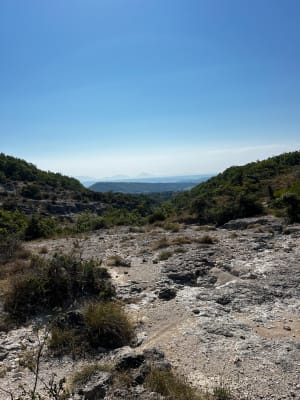 Les Moures la Citadelle de Forcalquier - Forcalquier - 8