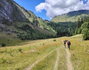 Tour des Alpages de Fréterolle à Chardonnière - Samoëns - 17