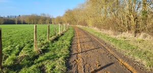Balade dans la campagne de la Membrolle et au bord de la May - Longuenée-en-Anjou - 5