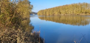Balade dans la campagne de la Membrolle et au bord de la May - Longuenée-en-Anjou - 6