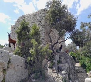 De lagere Gorges du Verdon en een verfrissend bad - Quinson - 187