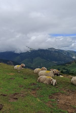 Au cœur du Val d'Azin et paysages à couper le souffle - Arbéost - 12