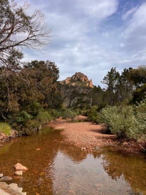 VTT dans l'Esterel vers le pic du Loup - Mandelieu-la-Napoule - 8
