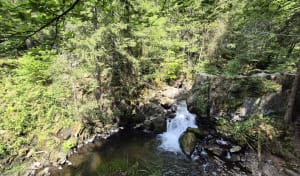 Les perles de Vologne en passant par la Roche du Page - Xonrupt-Longemer - 8