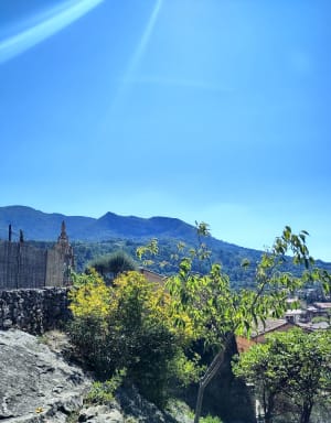 Sentier des Oliviers depuis les hauteurs de Nyons - Nyons - 8