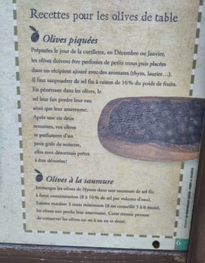Sentier des Oliviers depuis les hauteurs de Nyons - Nyons - 10