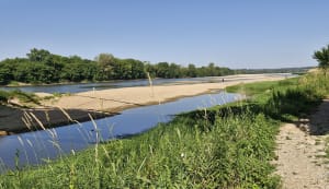Les Rosiers-sur-Loire et boucle pour prendre la clé des champs - Les Rosiers-sur-Loire - 5