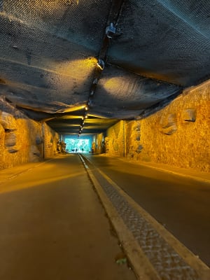 Decathlon x Starcow Outdoors - Paris - 4