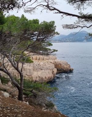 Port Miou en Port Pin - Cassis - 9