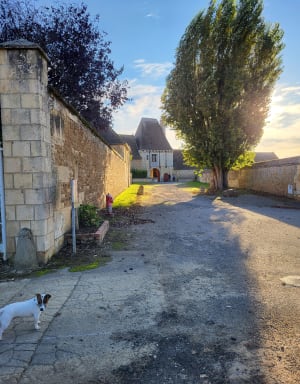 Fresney-le-Puceux et virée intrigante en pays de Caen - Fresney-le-Puceux - 2