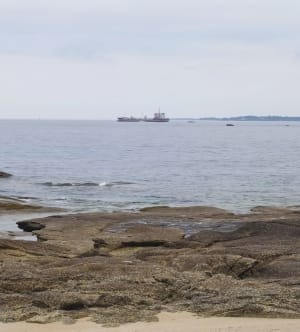 Le tour du Cabellou (Concarneau) - Concarneau - 8