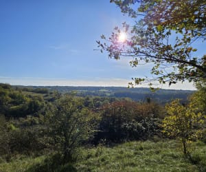 De groene ringweg van Angoulême en zijn kleine gevederde bewoners - Angoulême - 2