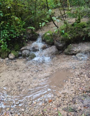 Cascade du moulin - NICOLAS - 22