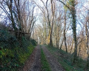 Randonnée autour de Veyrins - Les Avenières Veyrins-Thuellin - 3