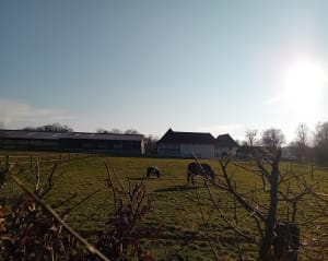 Randonnée autour de Veyrins - Les Avenières Veyrins-Thuellin - 5