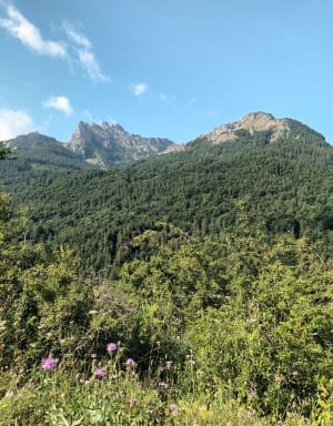 Fort de Reallon et cascade depuis les Gourniers - Réallon - 8