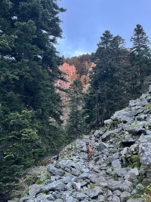 Saut du Gier-waterval - La Valla-en-Gier - 16