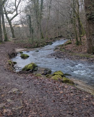 Promenade aux bords de l’Auzette - Panazol - 13