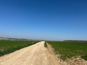Balade dans les champs et Vallée Tortue - Thennes - 2