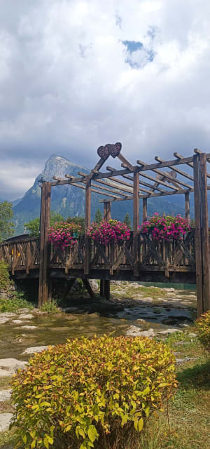 En forêt entre Lac Bleu(Morillon) et Lac des Dames (Samoëns) - Verchaix - 10