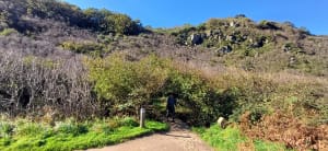 Promenade dans la vallée du Lude - Carolles - 49