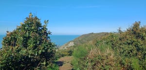 Promenade dans la vallée du Lude - Carolles - 50