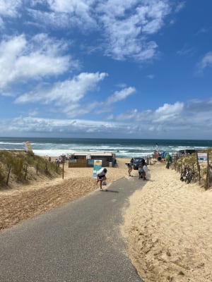 À VTT dans les Landes et senteurs de pinèdes à Seignosse - Léo - 3