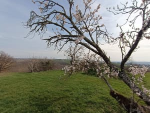 En Solomiac jusqu'à la Balerme - Verfeil - 12