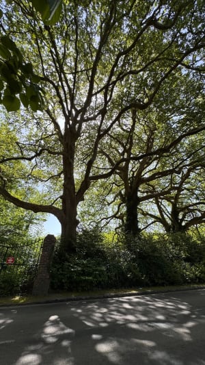 Autour du Château du Marais - Mack - 4