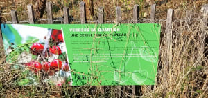 Rando-dessin au Parc Blandan - Mohamed - 3
