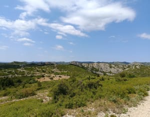 De Trincades en de Blauwe Lagune van Maussane-les-Alpilles - Maussane-les-Alpilles - 27