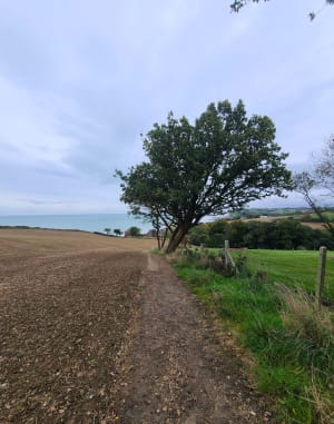 Balade Hautot Varengeville Pourville - Hautot-sur-Mer - 14