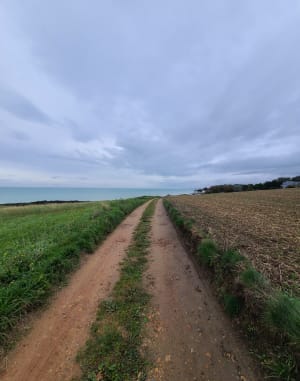 Balade Hautot Varengeville Pourville - Hautot-sur-Mer - 16