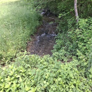 Balade autour de l'Étang de Rosière - Bourgoin-Jallieu - 6
