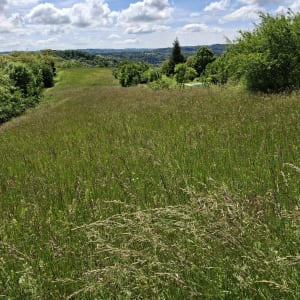 Balade autour de l'Étang de Rosière - Bourgoin-Jallieu - 7