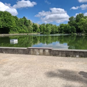 Balade autour de l'Étang de Rosière - Bourgoin-Jallieu - 8