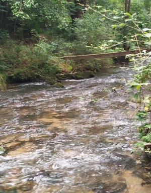 Promenade forestière les pieds dans l'eau - Mendionde - 15