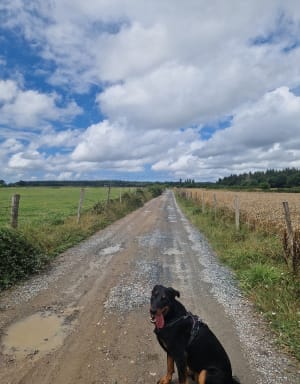 Balade au départ de Fierville les Parcs - Fierville-les-Parcs - 10